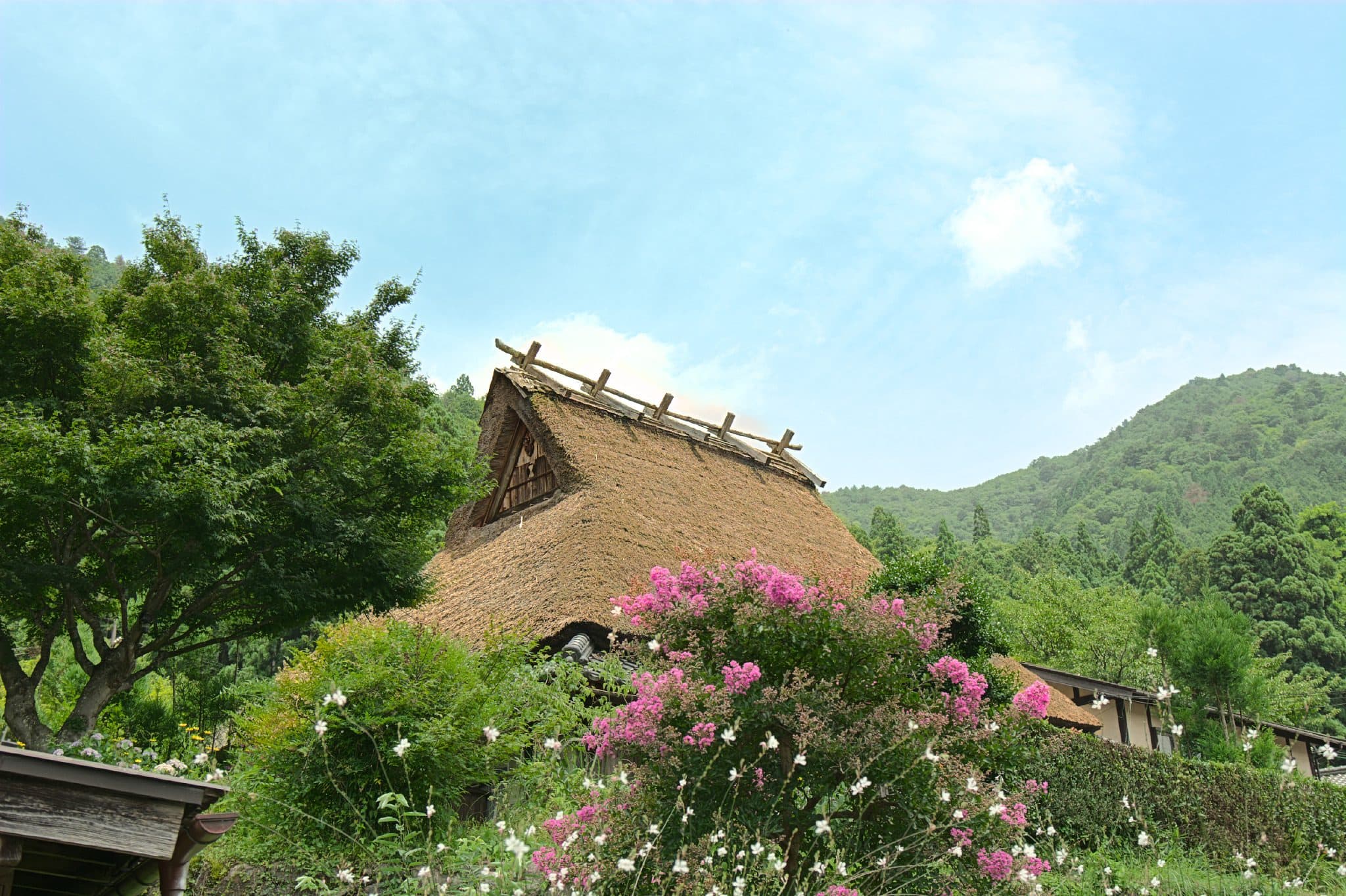 Miyama, Fukuchiyama & Ayabe: One-Day Motorcycle Tour