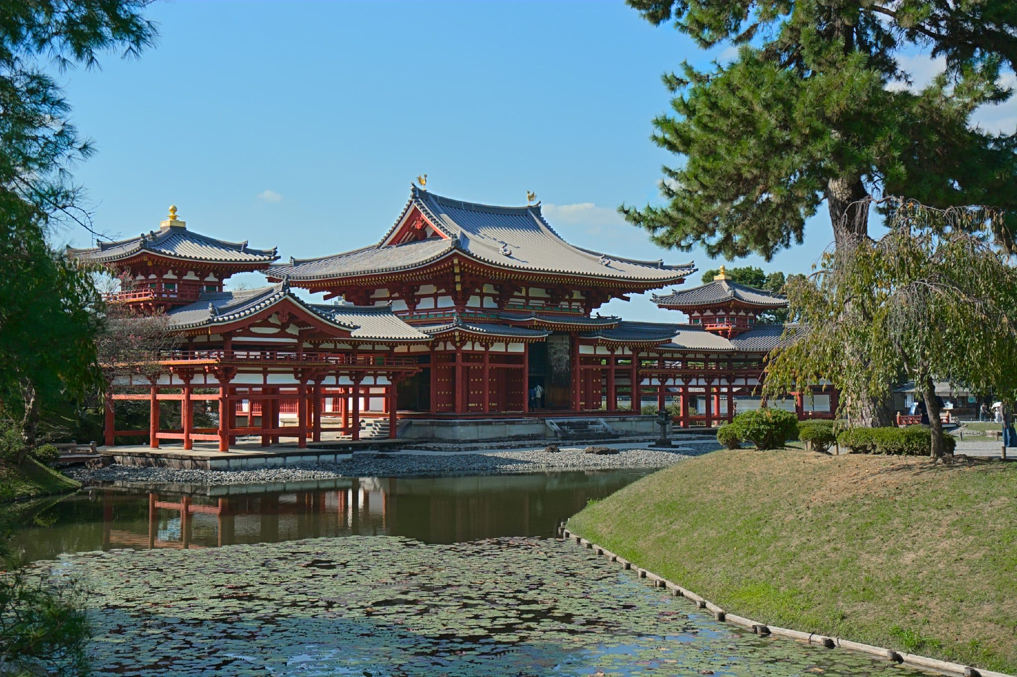 Kyoto Uji: 2-Hour Byodo-in & Shrines Guided Walking Tour