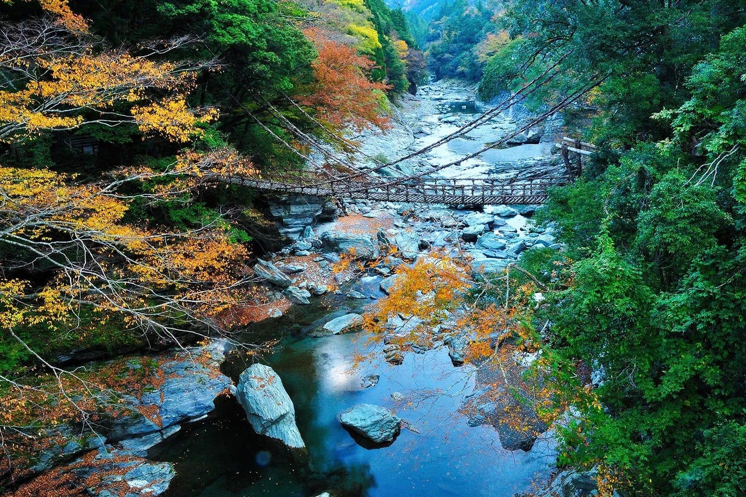 The Iya Kazurabashi vine bridge over the river
